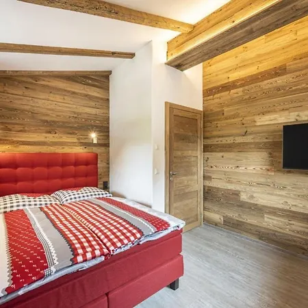 Holiday home Premium Dachstein 2