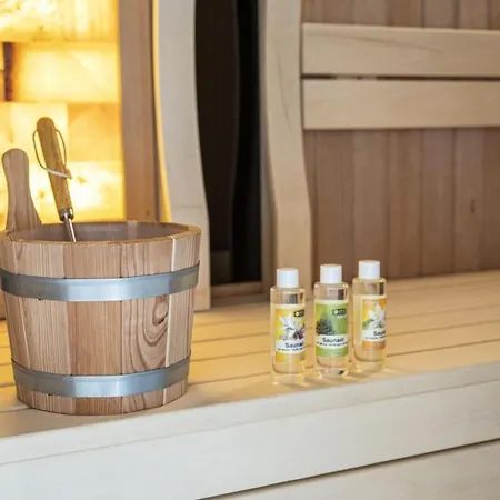 Premium Dachstein 2 Holiday home Forstau (Salzburg)